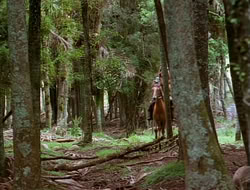 extant_HTLJ_1x12-TheGauntlet_00892