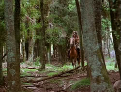extant_HTLJ_1x12-TheGauntlet_00893