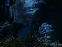 extant_HTLJ_1x12-TheGauntlet_01083