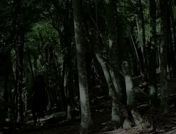 extant_HTLJ_1x12-TheGauntlet_01211
