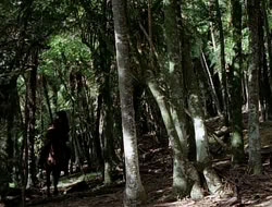 extant_HTLJ_1x12-TheGauntlet_01212