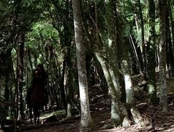 extant_HTLJ_1x12-TheGauntlet_01213