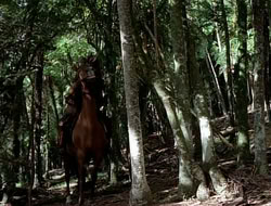 extant_HTLJ_1x12-TheGauntlet_01217