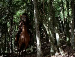 extant_HTLJ_1x12-TheGauntlet_01218