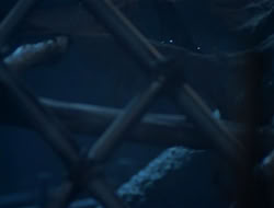 extant_HTLJ_1x12-TheGauntlet_01408
