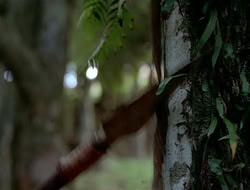 extant_HTLJ_1x12-TheGauntlet_01988