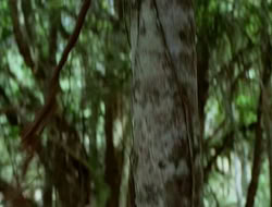 extant_HTLJ_1x12-TheGauntlet_01991