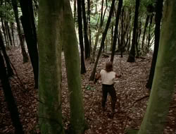 extant_HTLJ_1x12-TheGauntlet_01993