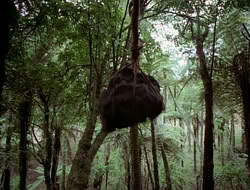 extant_HTLJ_1x12-TheGauntlet_01995