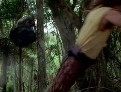 extant_HTLJ_1x12-TheGauntlet_01997