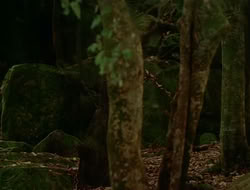 extant_HTLJ_1x12-TheGauntlet_02235