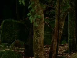 extant_HTLJ_1x12-TheGauntlet_02236