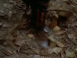 extant_HTLJ_1x12-TheGauntlet_02253