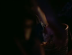 extant_HTLJ_1x12-TheGauntlet_02275