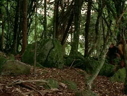 extant_HTLJ_1x12-TheGauntlet_02333