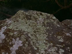 extant_HTLJ_1x12-TheGauntlet_02613
