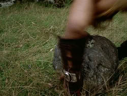 extant_HTLJ_1x12-TheGauntlet_02647