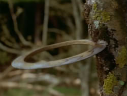 extant_HTLJ_1x12-TheGauntlet_02653