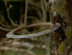 extant_HTLJ_1x12-TheGauntlet_02654