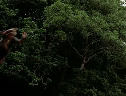 extant_HTLJ_1x12-TheGauntlet_02708