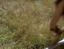 extant_HTLJ_1x12-TheGauntlet_02716