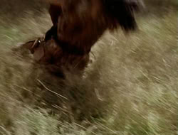 extant_HTLJ_1x12-TheGauntlet_02717