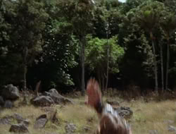 extant_HTLJ_1x12-TheGauntlet_02720