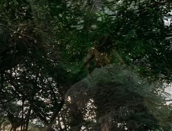 extant_HTLJ_1x12-TheGauntlet_02835
