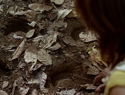 extant_HTLJ_1x12-TheGauntlet_02862