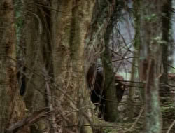 extant_HTLJ_1x12-TheGauntlet_02919