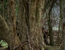 extant_HTLJ_1x12-TheGauntlet_02920