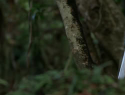 extant_HTLJ_1x12-TheGauntlet_02943