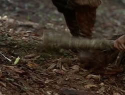 extant_HTLJ_1x12-TheGauntlet_02996