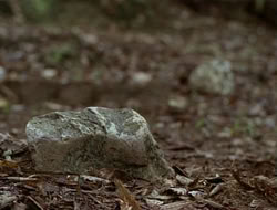 extant_HTLJ_1x12-TheGauntlet_02997