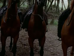 extant_HTLJ_1x12-TheGauntlet_03013