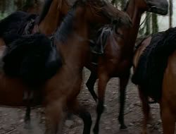 extant_HTLJ_1x12-TheGauntlet_03015