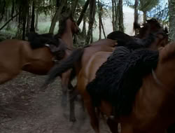 extant_HTLJ_1x12-TheGauntlet_03017