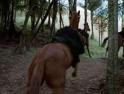 extant_HTLJ_1x12-TheGauntlet_03019
