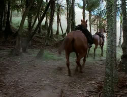 extant_HTLJ_1x12-TheGauntlet_03020