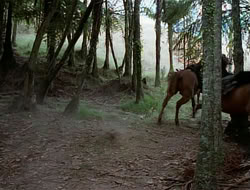 extant_HTLJ_1x12-TheGauntlet_03021