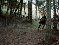 extant_HTLJ_1x12-TheGauntlet_03022