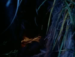 extant_HTLJ_1x12-TheGauntlet_03203