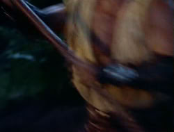 extant_HTLJ_1x12-TheGauntlet_03208