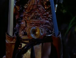 extant_HTLJ_1x12-TheGauntlet_03350