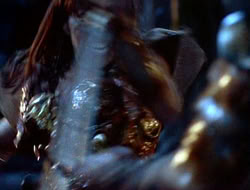extant_HTLJ_1x12-TheGauntlet_03366