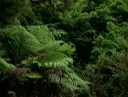 extant_HTLJ_1x13-UnchainedHeart_00005