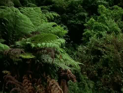 extant_HTLJ_1x13-UnchainedHeart_00006