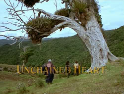 extant_HTLJ_1x13-UnchainedHeart_00456