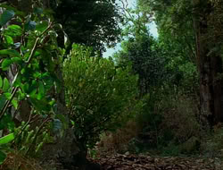 extant_HTLJ_1x13-UnchainedHeart_00606