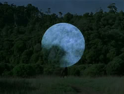 extant_HTLJ_1x13-UnchainedHeart_00931